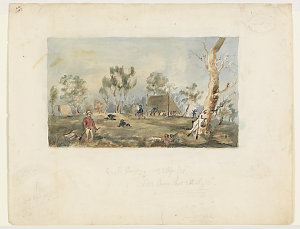 Victoria River camp site, with tree marked with the let...