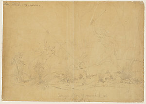 Savages of Van Diemen's Land hunting, 1828 / Robert Nei...