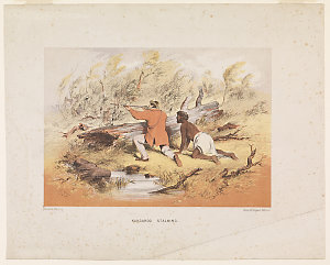 Kangaroo stalking / drawn by Samuel Thomas Gill, printe...