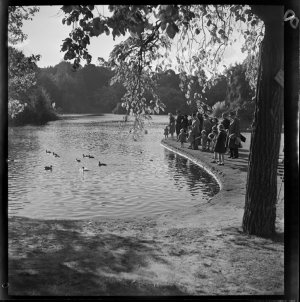 File 09: Melbourne, Bot. [Botanic] Gardens, [1946] / ph...
