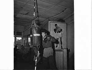 Rocky Gattellari at training, Erskineville
