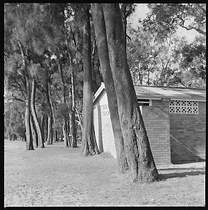 File 28: Jetty: boat, trees, [1950s-August 1983] / phot...