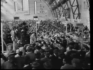 Annual sheep sales at the Sydney Sheep Show, 1958