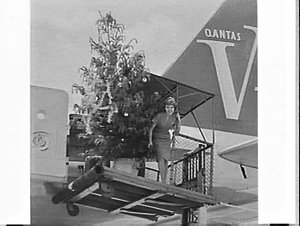 Qantas Christmas tree gift to Singapore being loaded on...