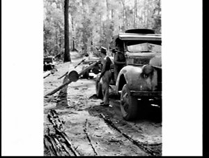 Champion tree-feller and axesman Vic Summers, Gympie