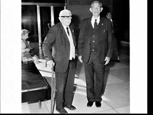34th Annual General Meeting 1981 of the War Widows' Gui...