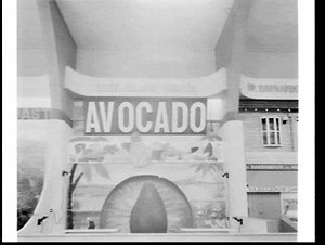 Queensland avocado exhibit, Royal Easter Show 1969, Syd...