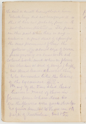 John Pentecost diary of an expedition from Sydney to th...