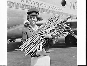 Flight attendant with gladioli flown from Melbourne on ...