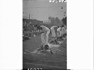 Woodchopping contest, Royal Easter Show 1965, Sydney Sh...