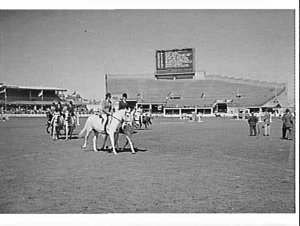Showjumping, Royal Easter Show 1965, Sydney Showground