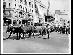 Royal Easter Show Parade 1967, Sydney