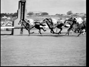 Sydney Cup, 1961, Randwick