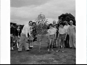 Minister for Education Eric Bedford plants a gumtree at...