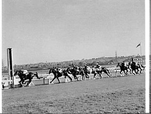 Racehorse Kamikaze in a race, Canterbury Racecourse