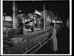 Production line, Schweppes factory, O'Riordan Strreet, ...