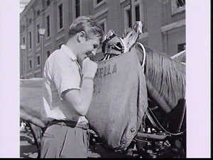 Walker Noel Freeman and a horse with a feedbag in St. P...