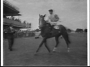 Winner of a race, Golden Slipper Stakes Day, 1959, Rose...