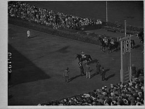 Sydney Cup 1958 at Randwick