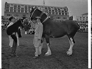 Royal Easter Show 1962