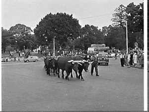 Pre-Royal Easter Show 1962 parade through the streets o...
