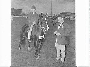 Horse judging, Royal Easter Show 1965, Sydney Showgroun...