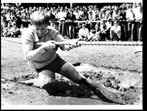 Wharf labourers (wharfies) versus university students t...