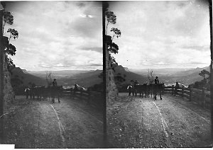 Horse and cart on an unsealed mountain road, Burragoran...