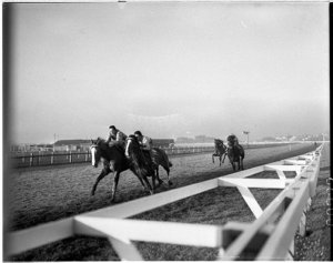 Training gallops at Randwick Racecourse