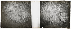 Box 26: Glass negatives including caves, and Sydney str...