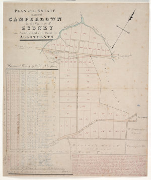 Plan of the estate named Camperdown in the vicinity of ...