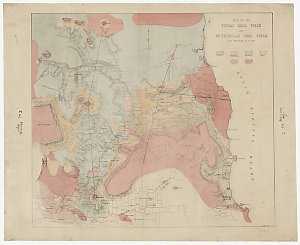 Map of the Fingal gold field and Mt. Nicholas coal fiel...