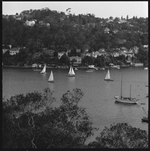 File 37: Castlecrag, January 1969 / photographed by Max Dupain
