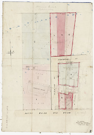 Ormond Estate, Paddington, Parish Alexandria [cartograp...