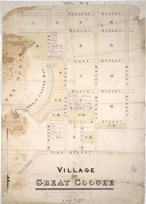 Village of Great Coogee [cartographic material]