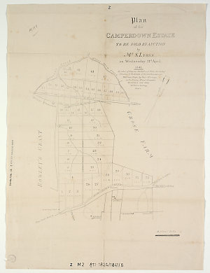 Plan of the Camperdown Estate [cartographic material] :...
