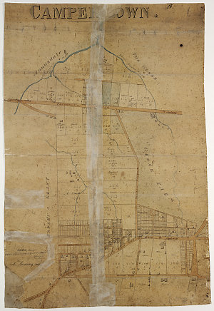 Camperdown [cartographic material] / W.H. Wells Surveyo...