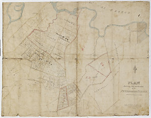 Plan shewing the subdivision of the Petersham Estate [c...