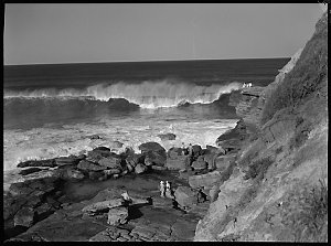 File 11: Warriewood seascape, 1950s / photographed by M...