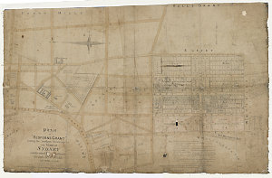 Plan of "Redfern's grant"- subdivided into allotments f...
