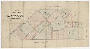 Plan village of Arncliffe [cartographic material]