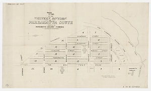 Plan of the Western Division of Parramatta South, adjoi...