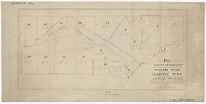 Plan of the Estate of Glenlivet situate on the Williams...