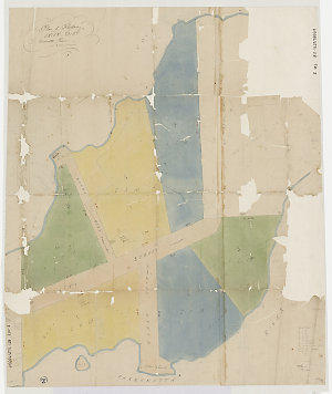 Plan of property, Onion Point, Parramatta River [cartographic material] / Ferdinand Henry Reuss.