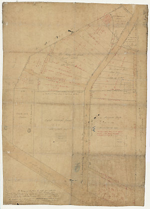 Part of Thomas Macquoid's grant [cartographic material]
