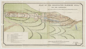 Plan of the celebrated Hawkins' Hill, Hill End, Tambaro...
