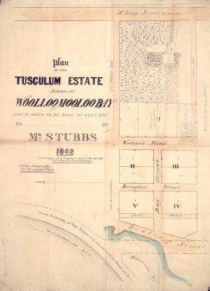 Plan of the Tusculum Estate, situated at Woolloomooloo ...
