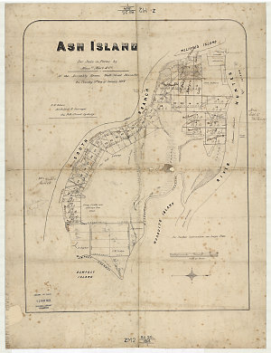 Ash Island [cartographic material] : for sale in farms ...