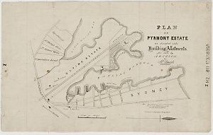 Plan of Pyrmont Estate as divided into building allotme...