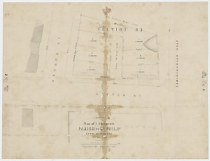 Plan of 7 allotments, Parish of St. Philip, City of Syd...